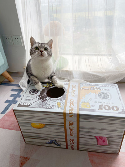 Casa Rascador para Gatos con Cartón Corrugado y Garras - Image 6