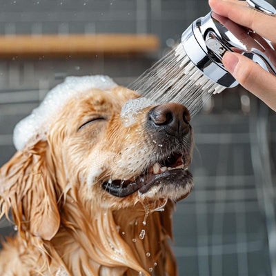 Adaptador de Ducha 2 en 1 para Baño de Mascotas con Peine de Silicona - Image 14