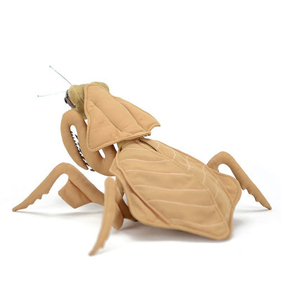 Peluche Mantis de Hoja - Colección Insectos - Image 5