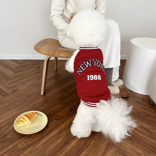 Uniforme de Béisbol Estampado Otoñal para Mascotas - Image 7
