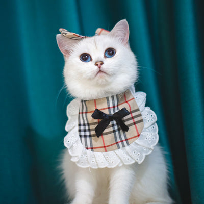 Babero Pañoleta Encaje Gato Estilo Princesa con Decoración - Image 5