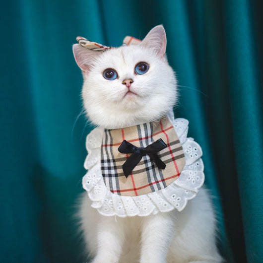 Babero Pañoleta Encaje Gato Estilo Princesa con Decoración - Image 5