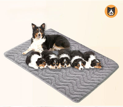 Cama Térmica de Felpa Premium para Mascotas - Cojín Cálido para Perros y Gatos - Image 11