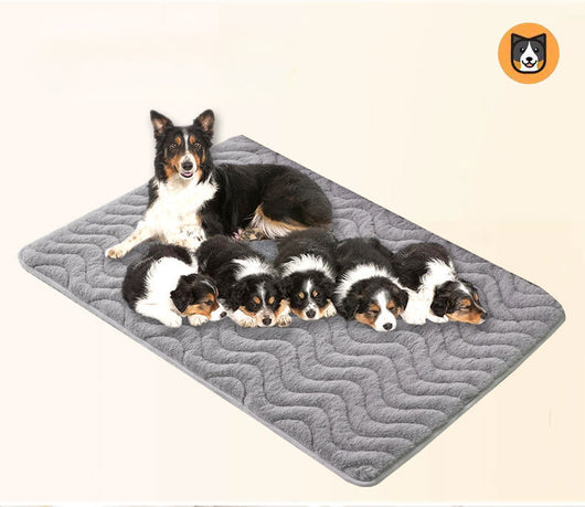 Cama Térmica de Felpa Premium para Mascotas - Cojín Cálido para Perros y Gatos - Image 11
