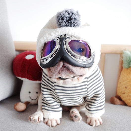 Suéter Tejido con Capucha para Perro - Diseño de Rayas en Terciopelo de Cordero - Image 4