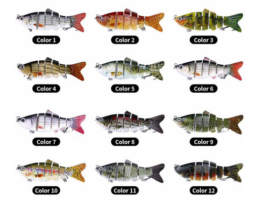 Peces Carnada Premium - Image 35