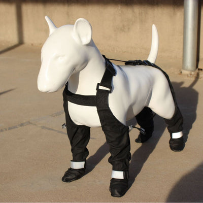 Protectores de Patas Impermeables para Perros - Zapatos Antideslizantes - Image 3