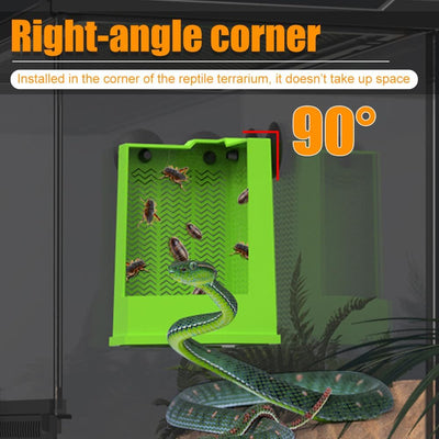 Comedero Esquinero para Dragón Barbudo con Ventosas - Alimentador de Pared para Terrario - Image 15