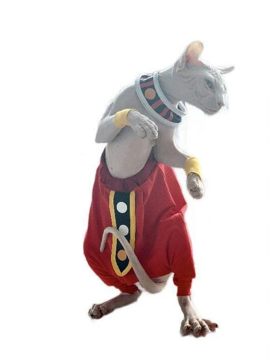 Ropa Trendy para Gatos Sin Pelo - Diseño Azul Elegante - Image 8
