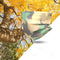 Camuflaje amarillo - Talla adulta - 10 unidades