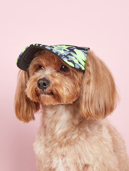 Gorra Deportiva para Mascotas con Protección Solar - Image 57