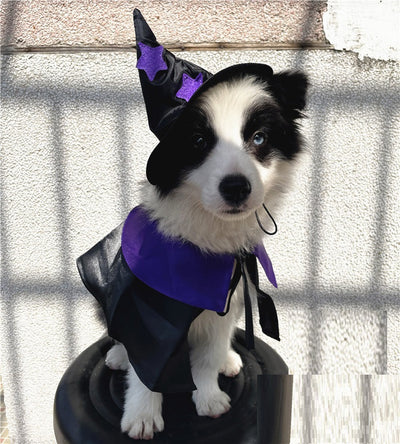 Disfraz de Mago para Mascotas - Set Completo de Decoración Halloween - Image 3
