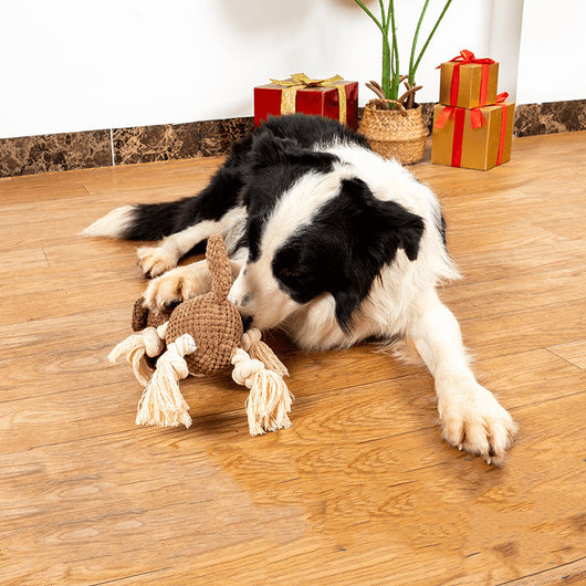 Juguete de Peluche para Perro con Sonido y Cuerda Resistente - Image 8