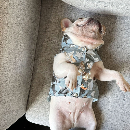 Chaleco Denim Fresco para Mascotas - Perros y Gatos Verano - Image 9