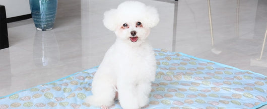 Tapete Refrescante para Mascotas - Mantén a tu Perro o Gato Fresco Todo el Verano - Image 13