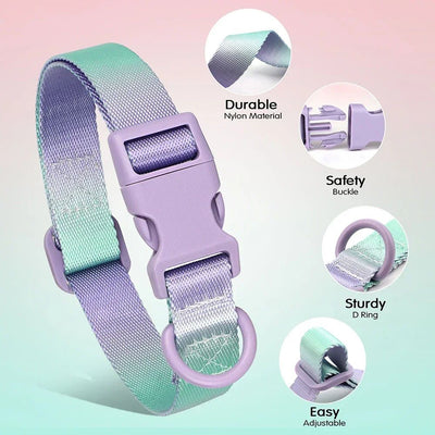 Collar Ajustable para Perros y Gatos - Diseño Degradado Moderno - Image 25