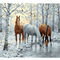 Kit de Pintura al Óleo DIY Caballo - Lienzo Preimpreso para Adultos e Niños