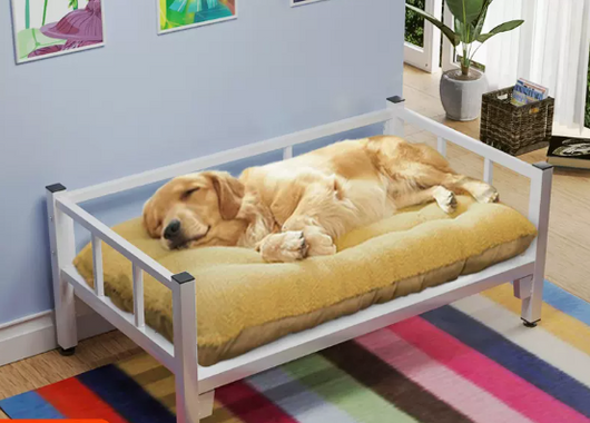 Cama Desmontable para Perro de Todas las Estaciones - Lavable y Versátil - Image 12