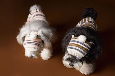 Gorro de Pelota Esponjosa a Rayas para Mascotas - Image 8
