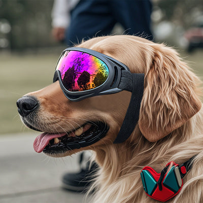 Gafas Protectoras Antiaire para Perros - Image 13