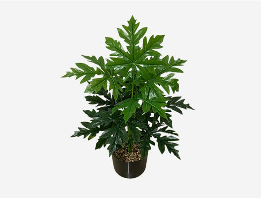 Planta Artificial Decorativa Tortuga - 12-24 Cabezas Verdes para Pared y Jardín - Image 16