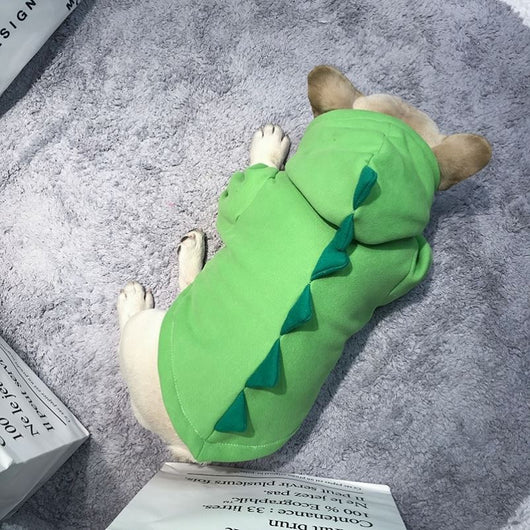Suministros de Invierno para Perros Corgi Hembra - Image 6