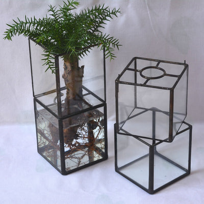 Maceta Vintage de Cristal para Suculentas y Flores - Image 9