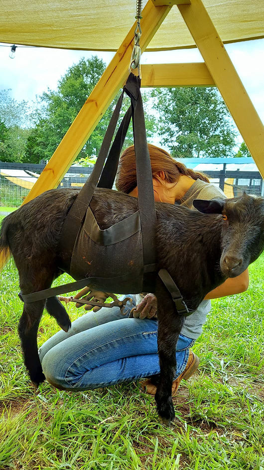 Báscula Colgante para Animales - Bolsa Pesadora para Ganado y Mascotas - Image 9