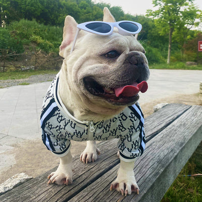 Chamarra Elástica con Cierre para Perros - Ropa Cómoda para Mascotas - Image 7