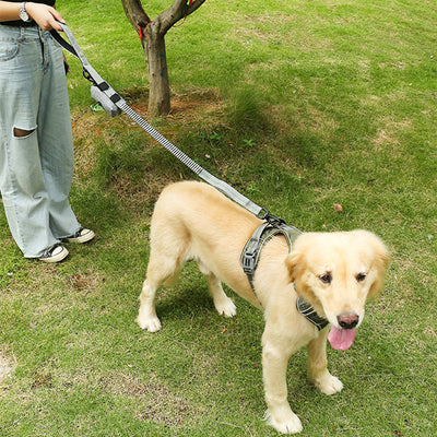 Correa Retráctil Antiexplosión para Perros con Luz Fluorescente - Image 11