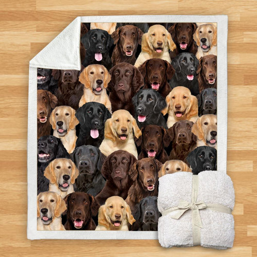Manta Franela Estampada para Perros - Image 40