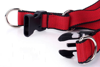 Cadena Reforzada de Tres Piezas para Perros - Image 13