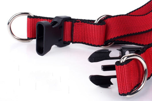Cadena Reforzada de Tres Piezas para Perros - Image 13