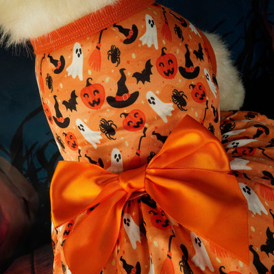 Disfraz de Fiesta Halloween para Mascotas - Image 13