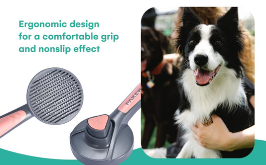 Cepillo Autolimpiable para Perros y Gatos - Deshedding y Masaje - Image 13
