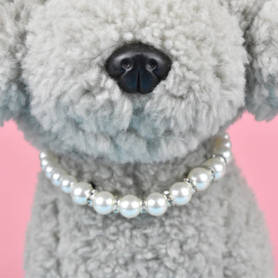 Collar Joyero para Gatos con Diseño Teddy - Image 7