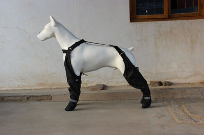 Botines Impermeables para Mascotas con Cinturón Elástico y Reflectivos - Image 12