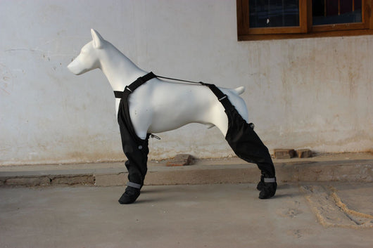 Botines Impermeables para Mascotas con Cinturón Elástico y Reflectivos - Image 12