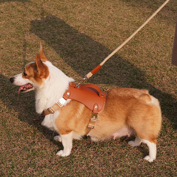 Arnés de Microfibra y Cuerda de Tracción para Perros