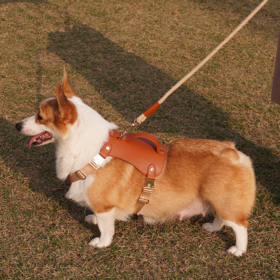 Arnés de Microfibra y Cuerda de Tracción para Perros