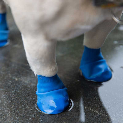Botas de Lluvia Impermeables para Perros con Diseño de Globos - Image 11
