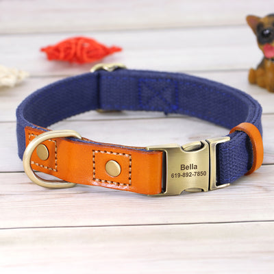 Collar de Cuero para Perros Anti-pérdida con Placa de Identificación - Image 5