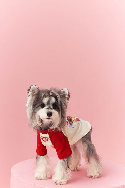 Ropa de Verano para Perros con Contraste de Colores - Image 9