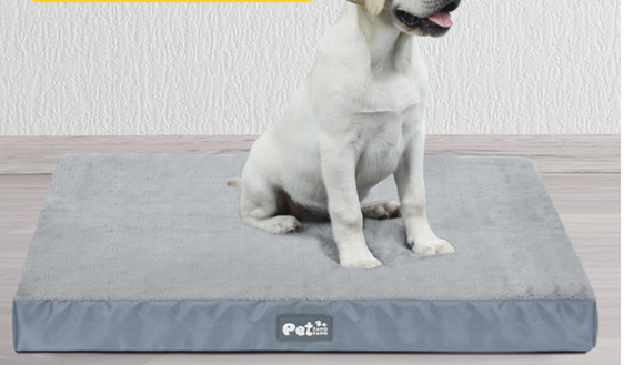 Cama Ortopédica Desmontable para Perros con Espuma Viscoelástica