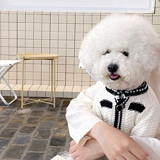 Suéter para Perro Estilo Coreano con Cuello de Perlas - Image 4