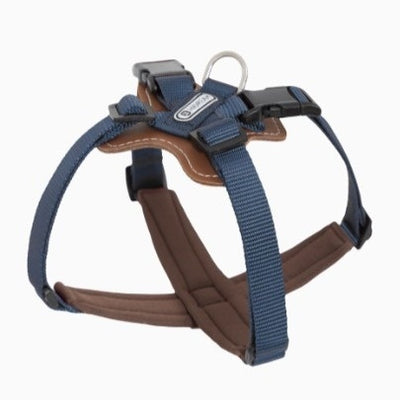 Cuerda Interactiva para Perros Corgi y Shiba Inu - Juguete de Tracción Doble - Image 4