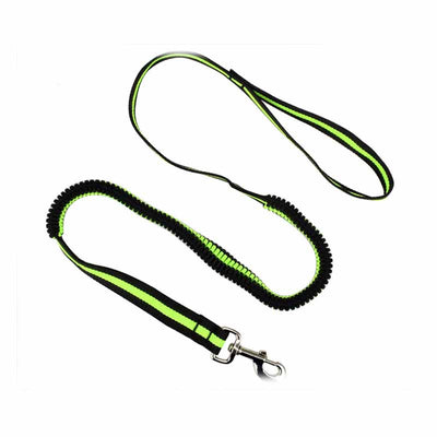 Correa Extensible Elástica para Mascotas con Control de Tracción - Image 11