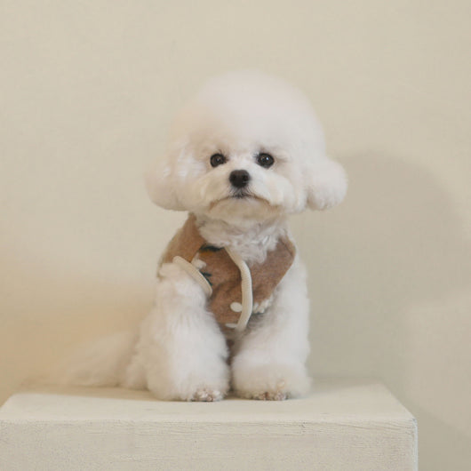 Suéter para Perro de Lana de Cordero con Flores - Image 3