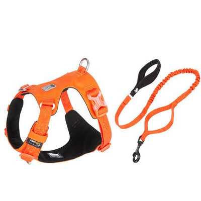 Arnés de Tracción para Perros Grandes con Correa de Paseo - Image 7