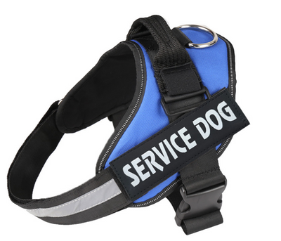 Arnés de Pecho para Perro con Cuerda de Tracción - Image 30